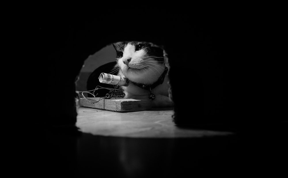 Photograph by Nahyan Nihal