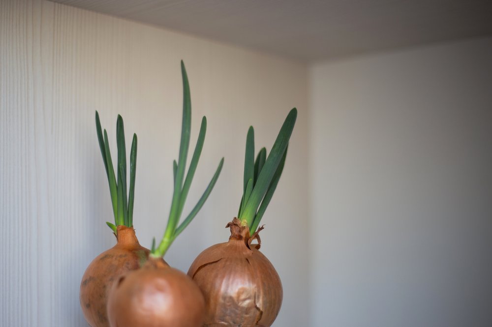 Photograph by Толмачёва Ирина