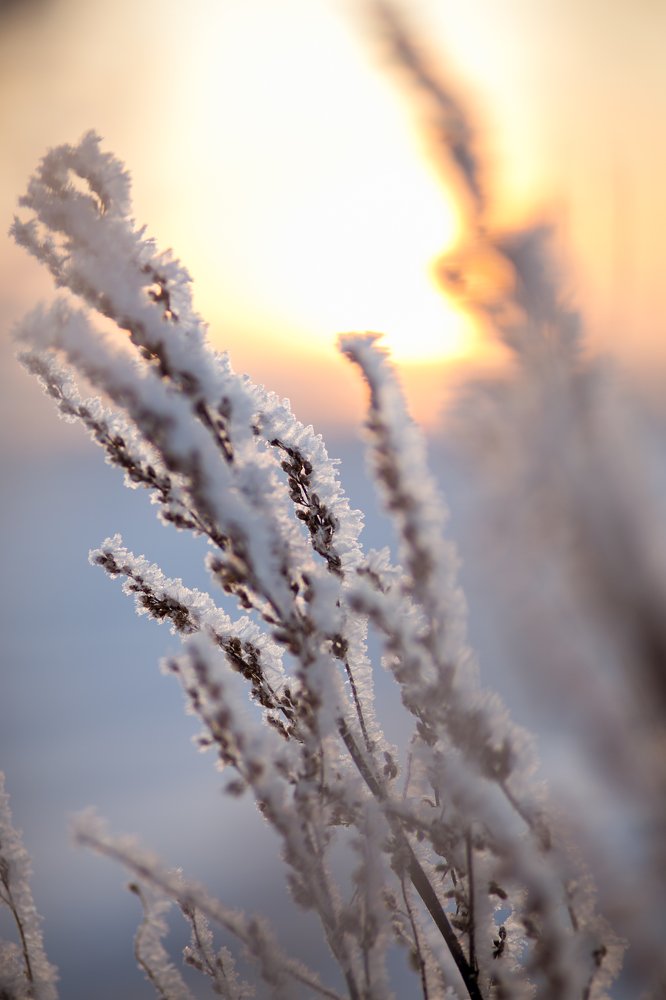 Photograph by Натали Чалык