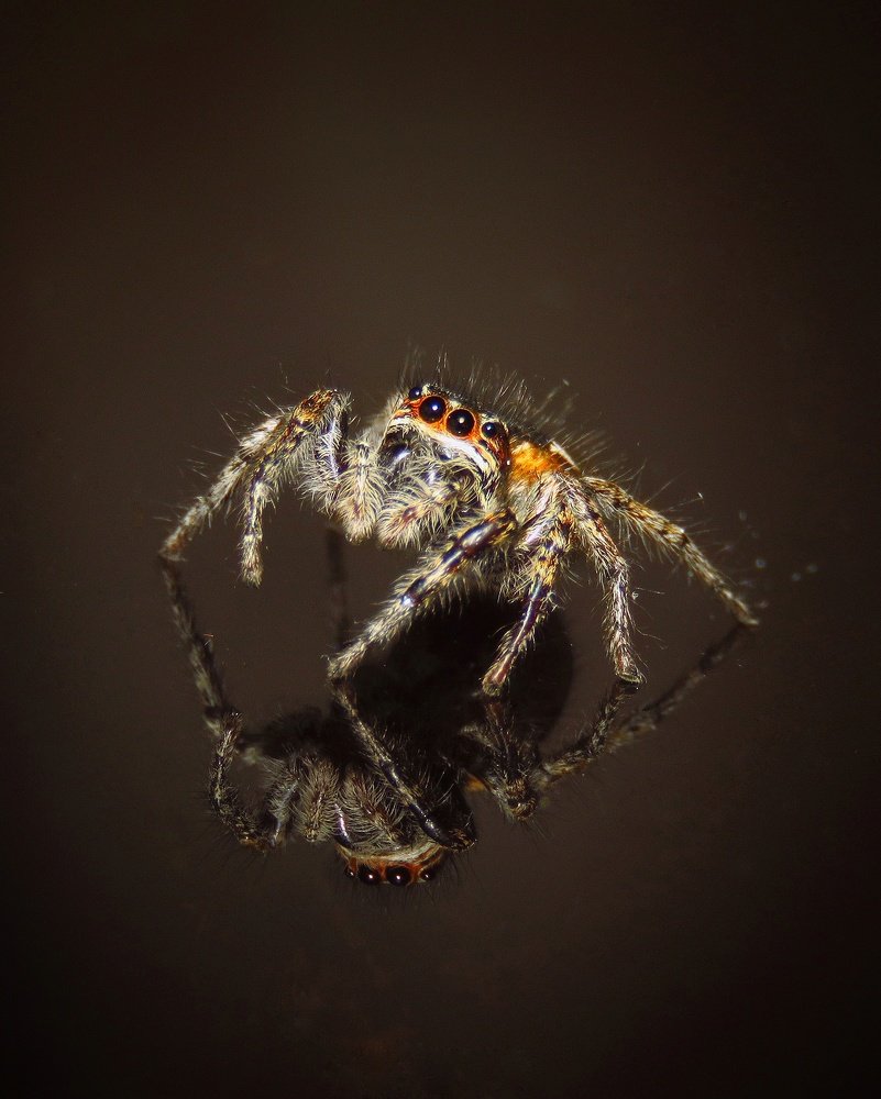 Photograph by Amin Ghaffarian