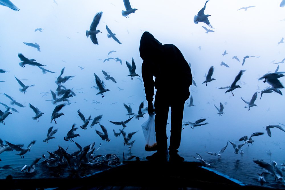 Photograph by Somesh Chaurasiya