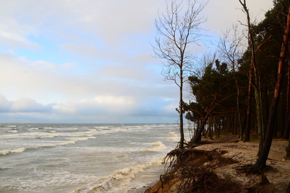 Photograph by Galina Baranovskaja