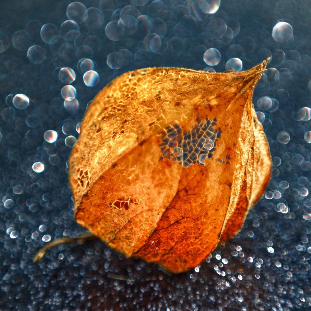 Photograph by Татьяна Гринько