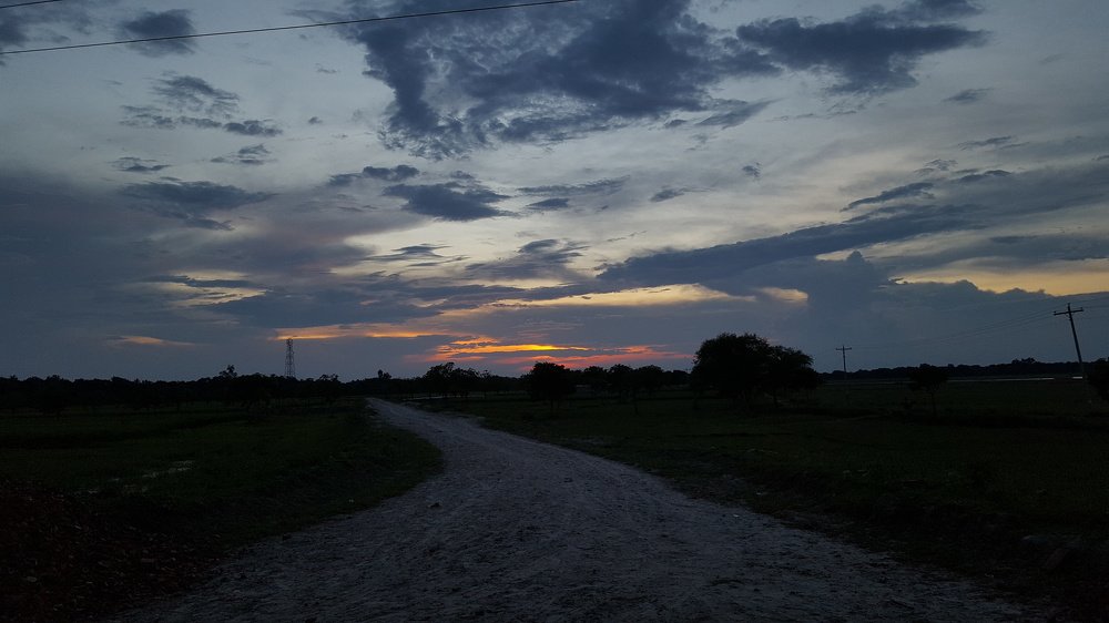Photo #4521998