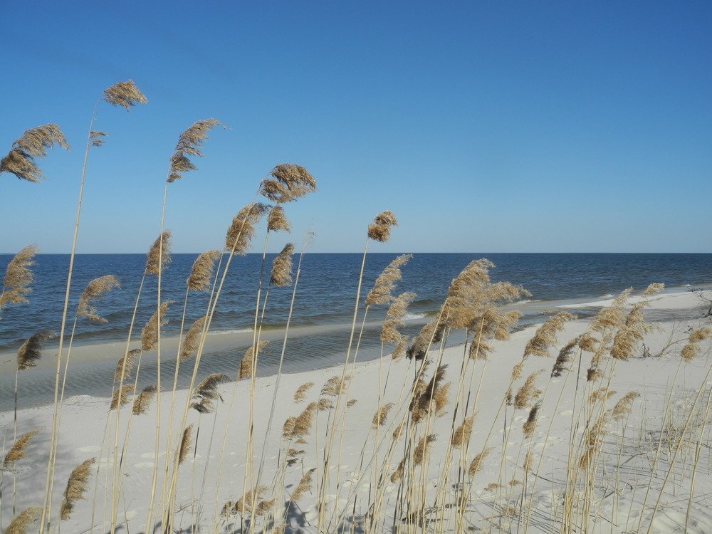 Photograph by Елена Литвин