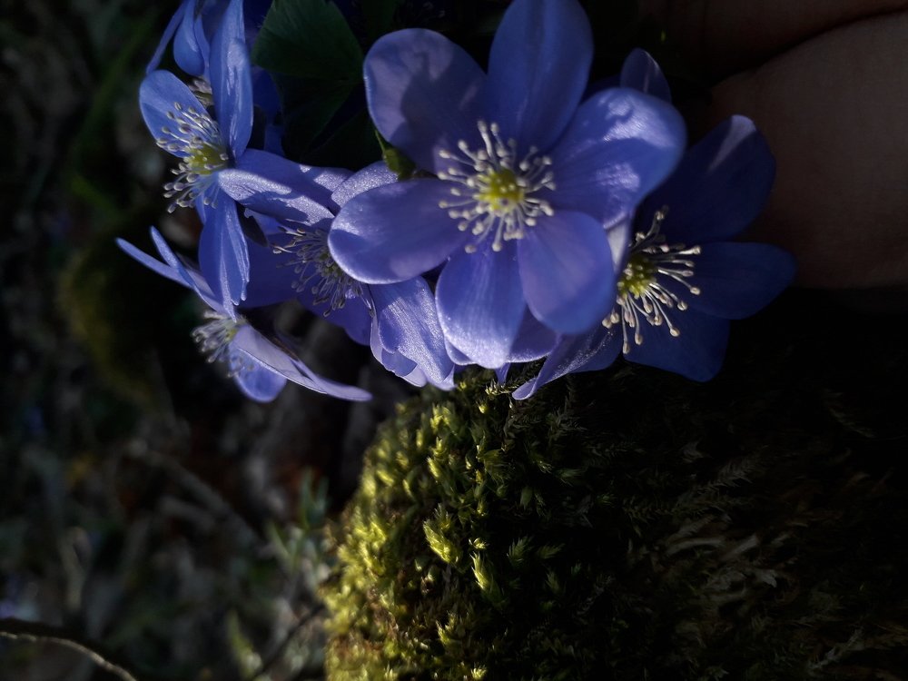 Photograph by Василина