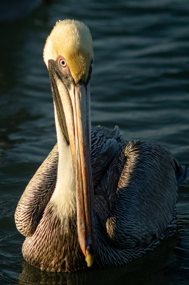 Photograph by Cristian Rativa