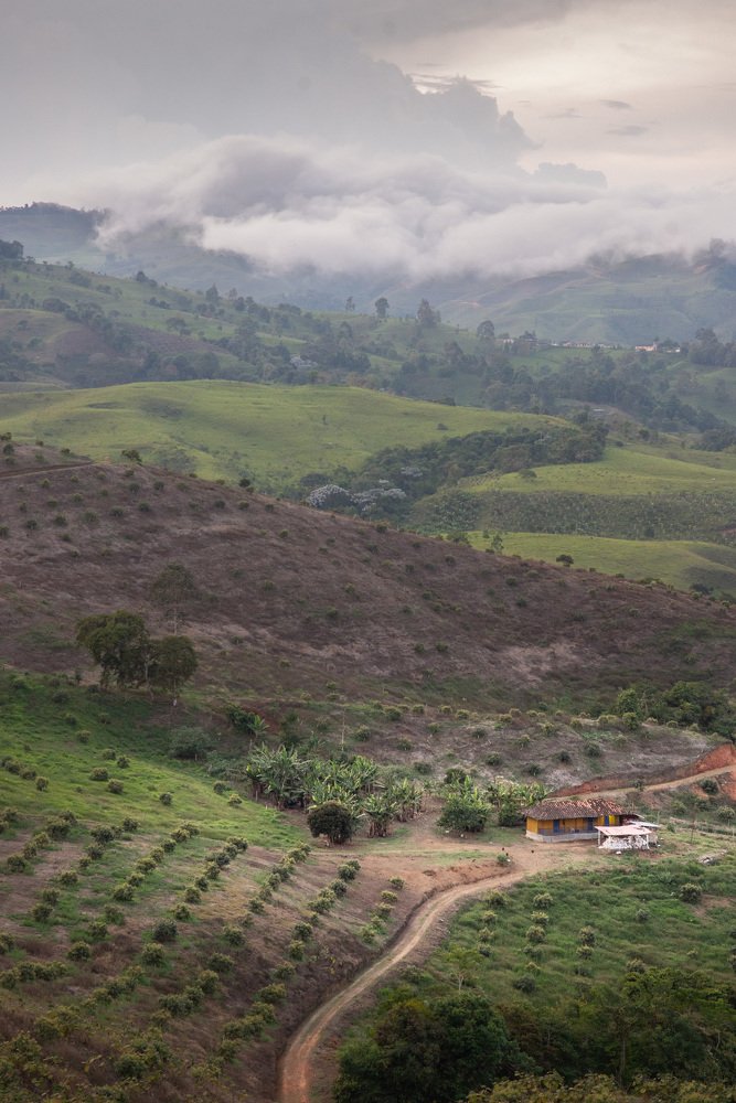 Photograph by Andres Salgado