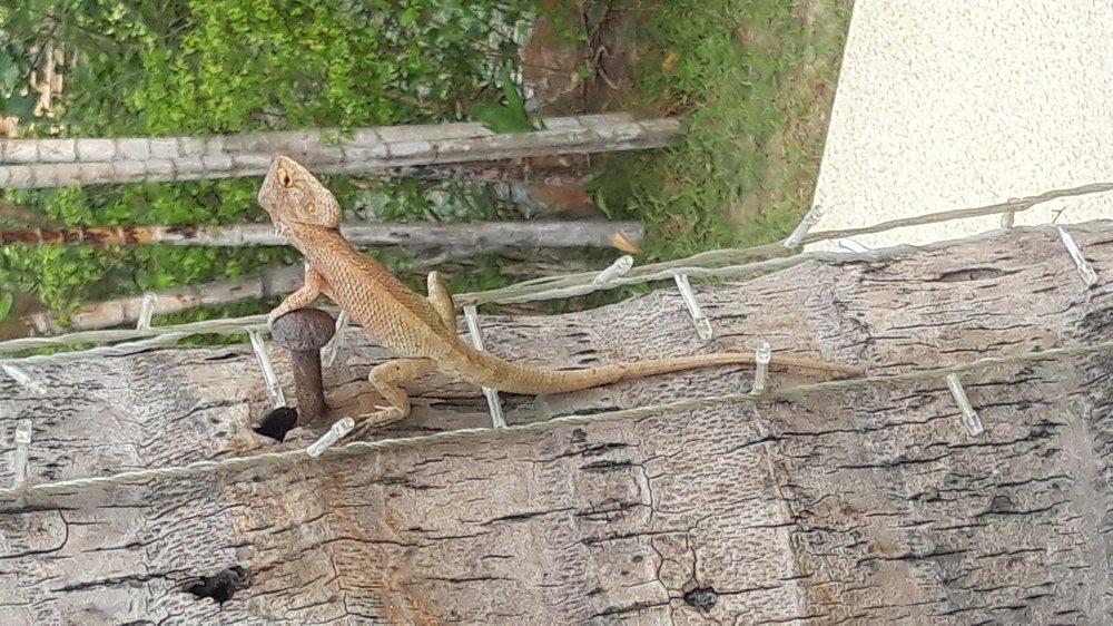 Photo #4522472