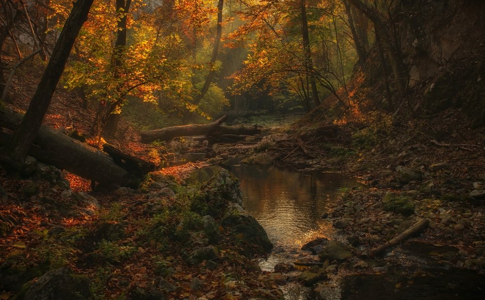 Photograph by Costin Motea