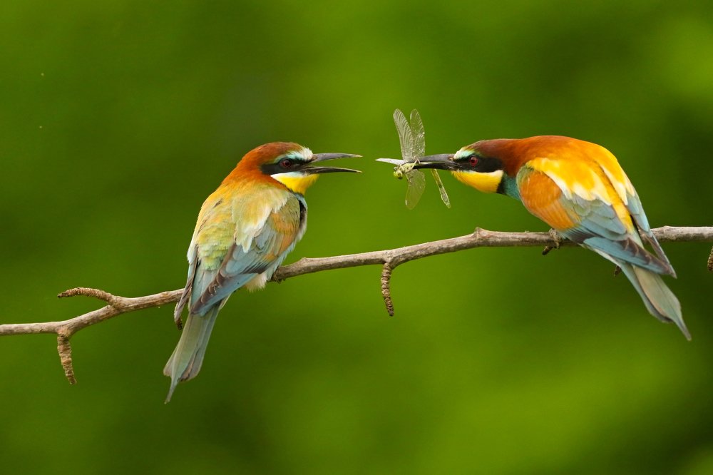 Photograph by Piotr Warzecha