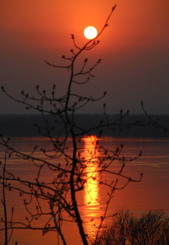 Photograph by Сергей Яковлев