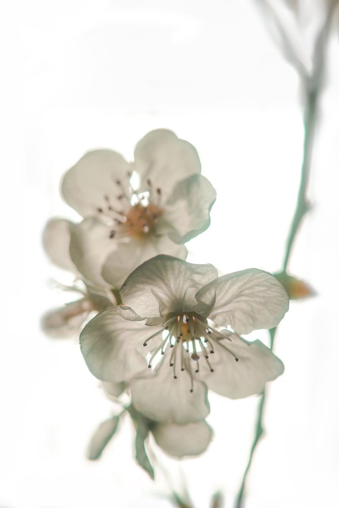 Photograph by Сергей Прокофьев
