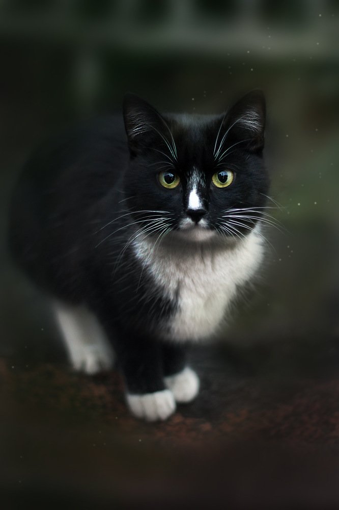 Photograph by София Удовенко