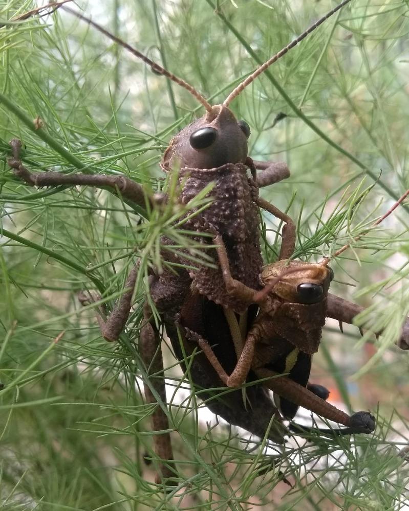 Madre e hijo.