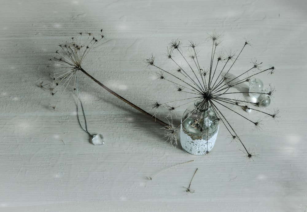 Монохромный натюрморт