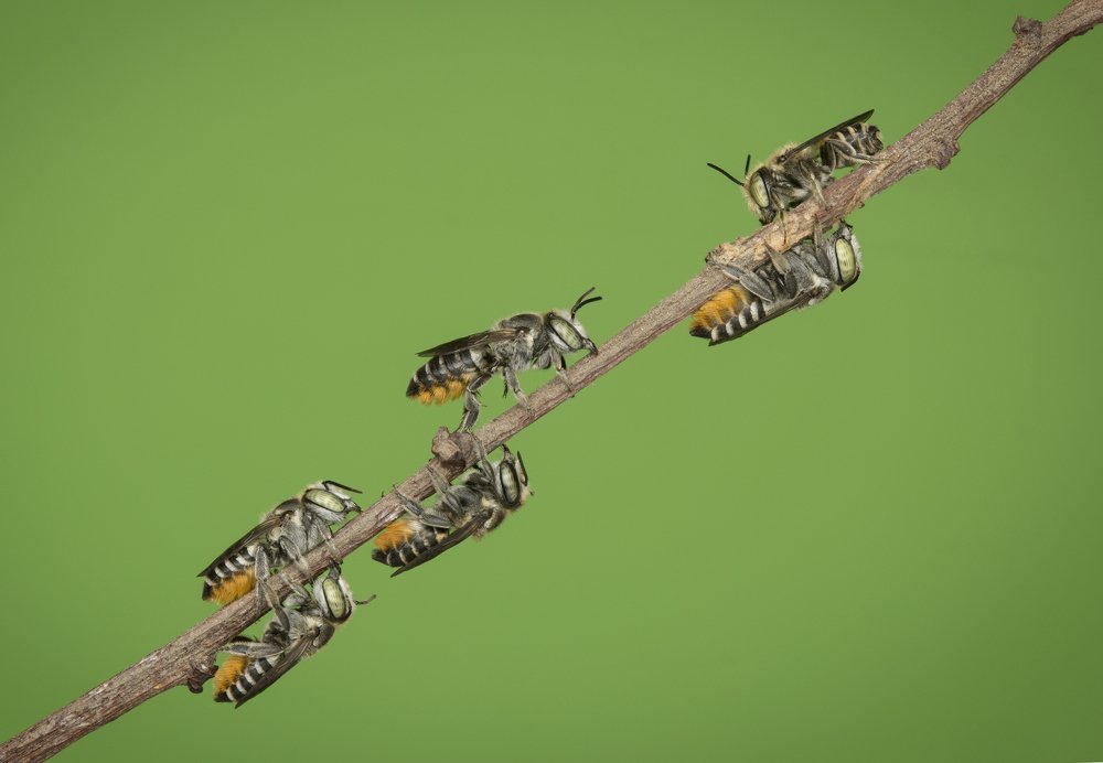 Photograph by Syafiq Huwaida