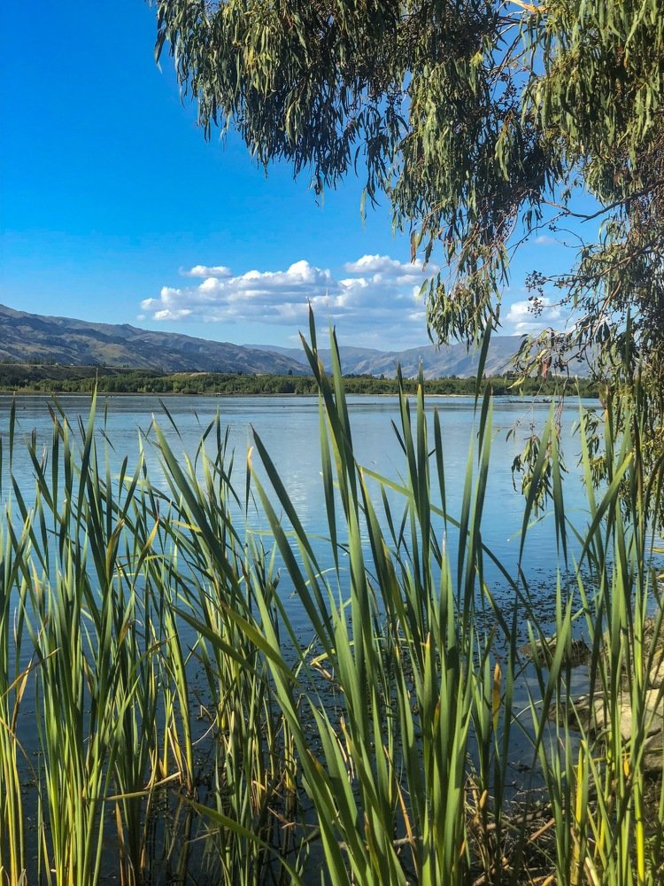 Photograph by Алена Котова