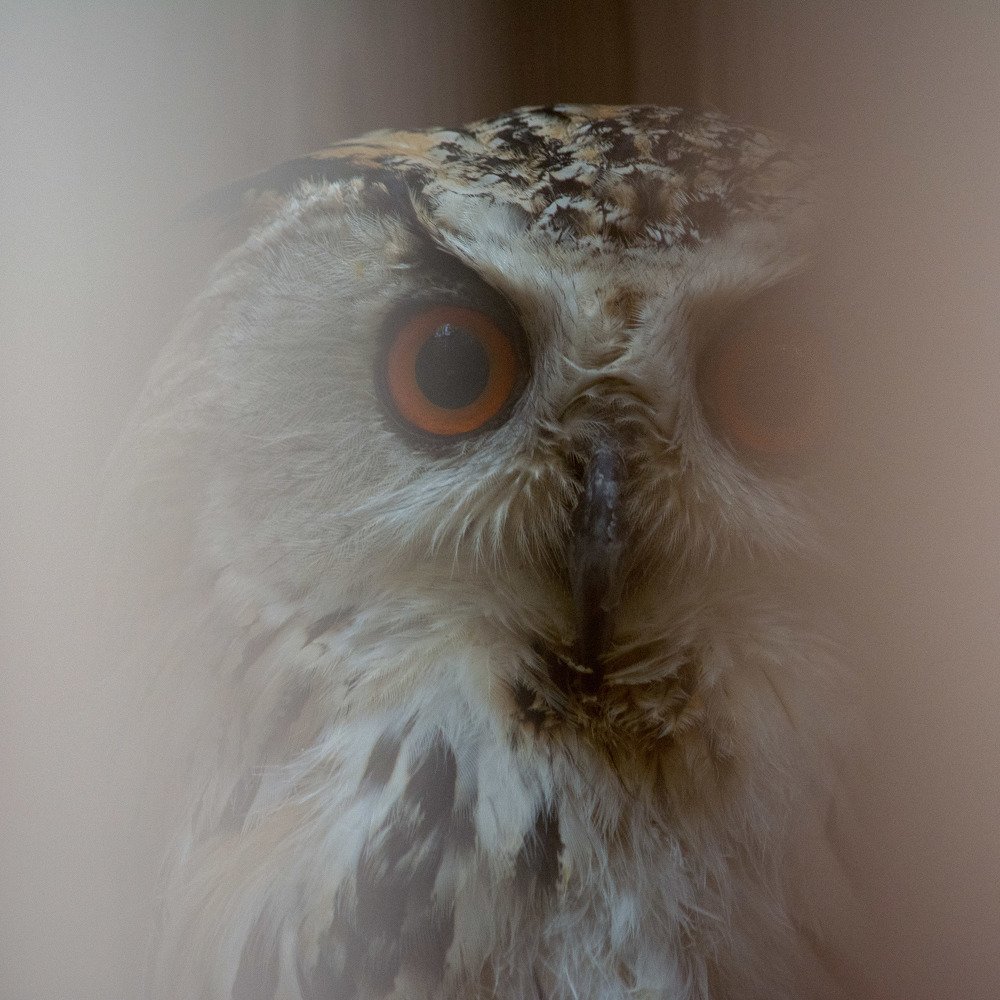 Photograph by Анастасия Попельская