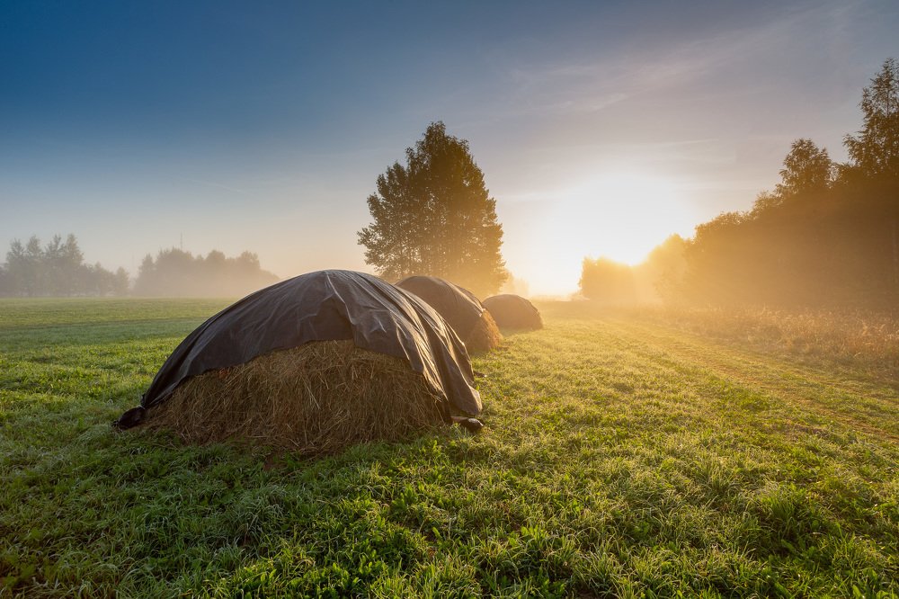 Осенние зарисовки...