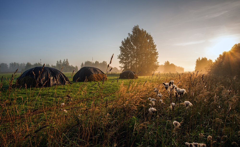Photograph by Дмитрий Зеленько
