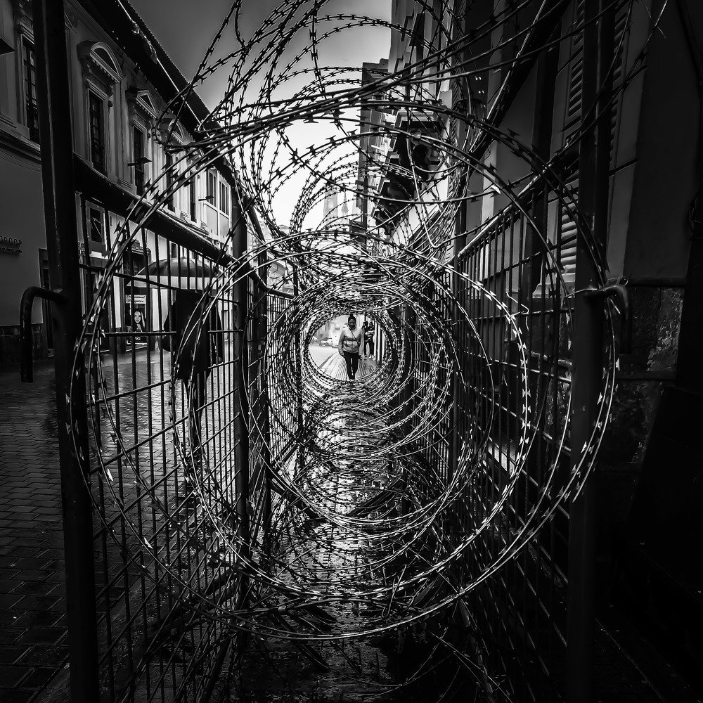 Una Rosa es una Rosa