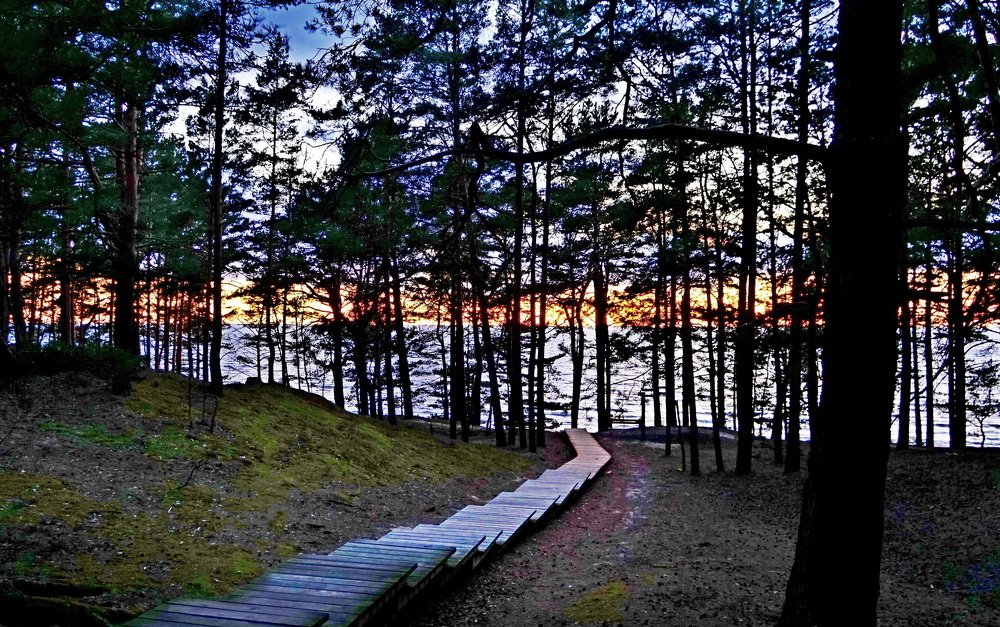 Фотография автора Сергей Барановский