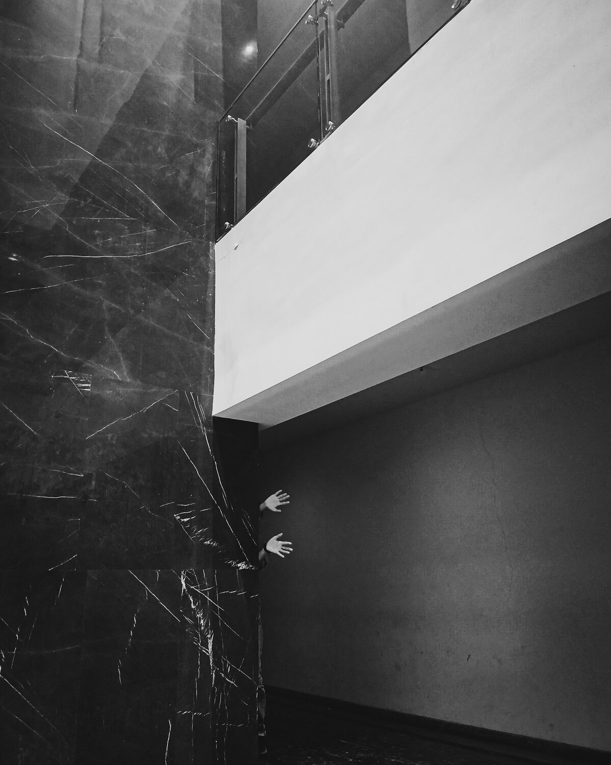 Photo #4523068