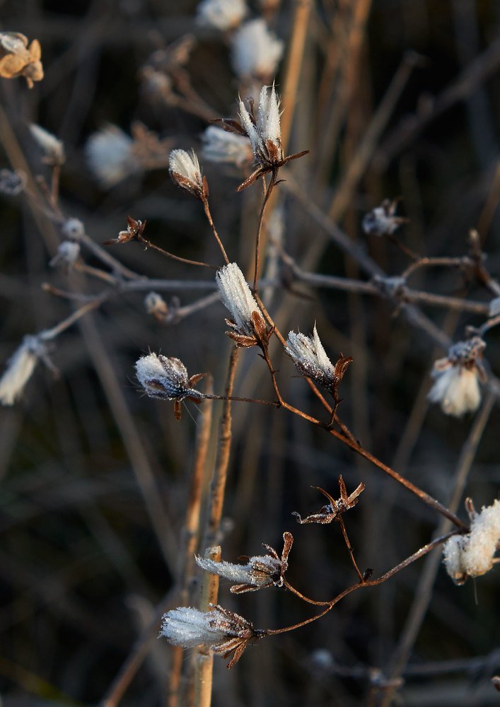 Photograph by Екатерина Ким