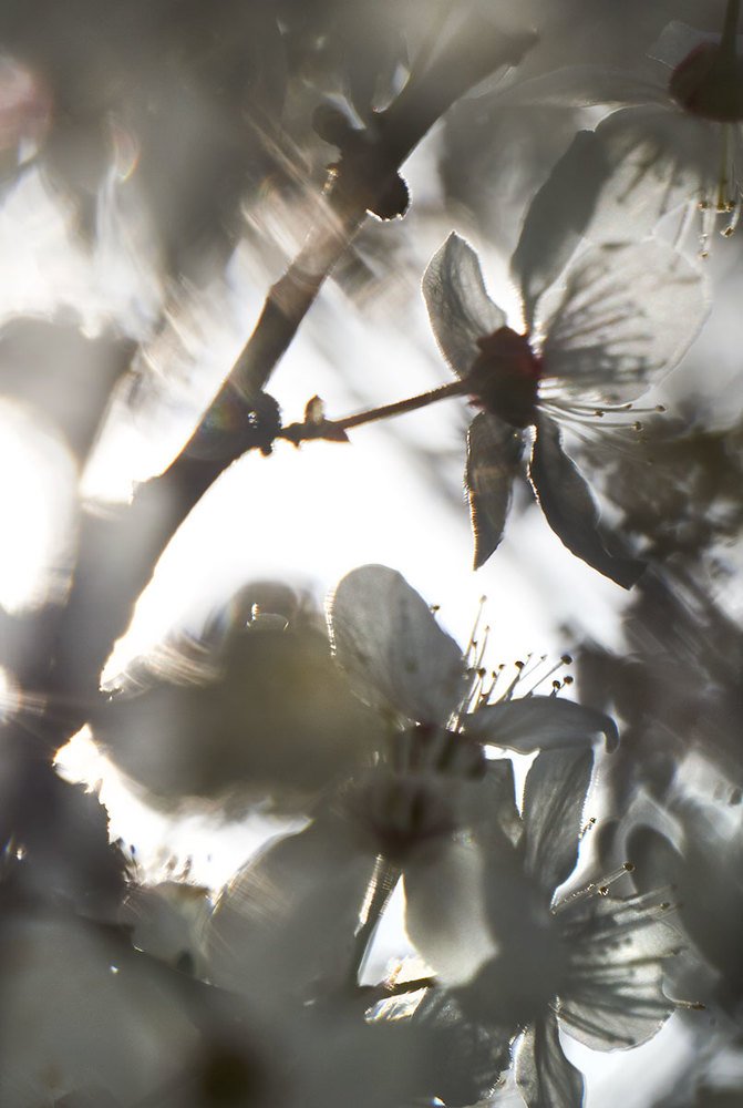 Photograph by Екатерина Ким