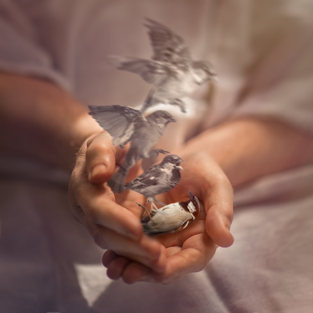 Photograph by Ирина Овчинникова