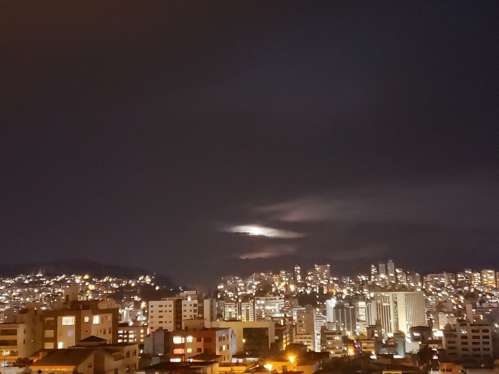 Photo #4523249