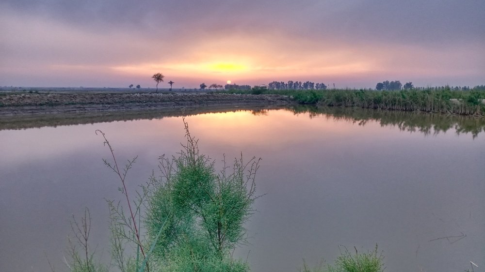 Evening view