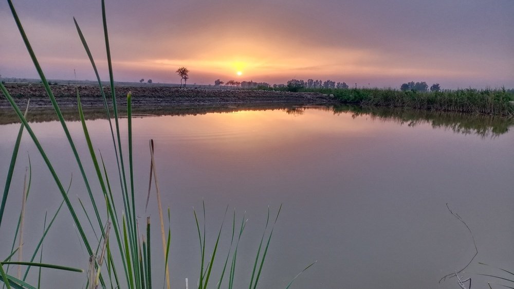 Photograph by Zulfiqar Ali