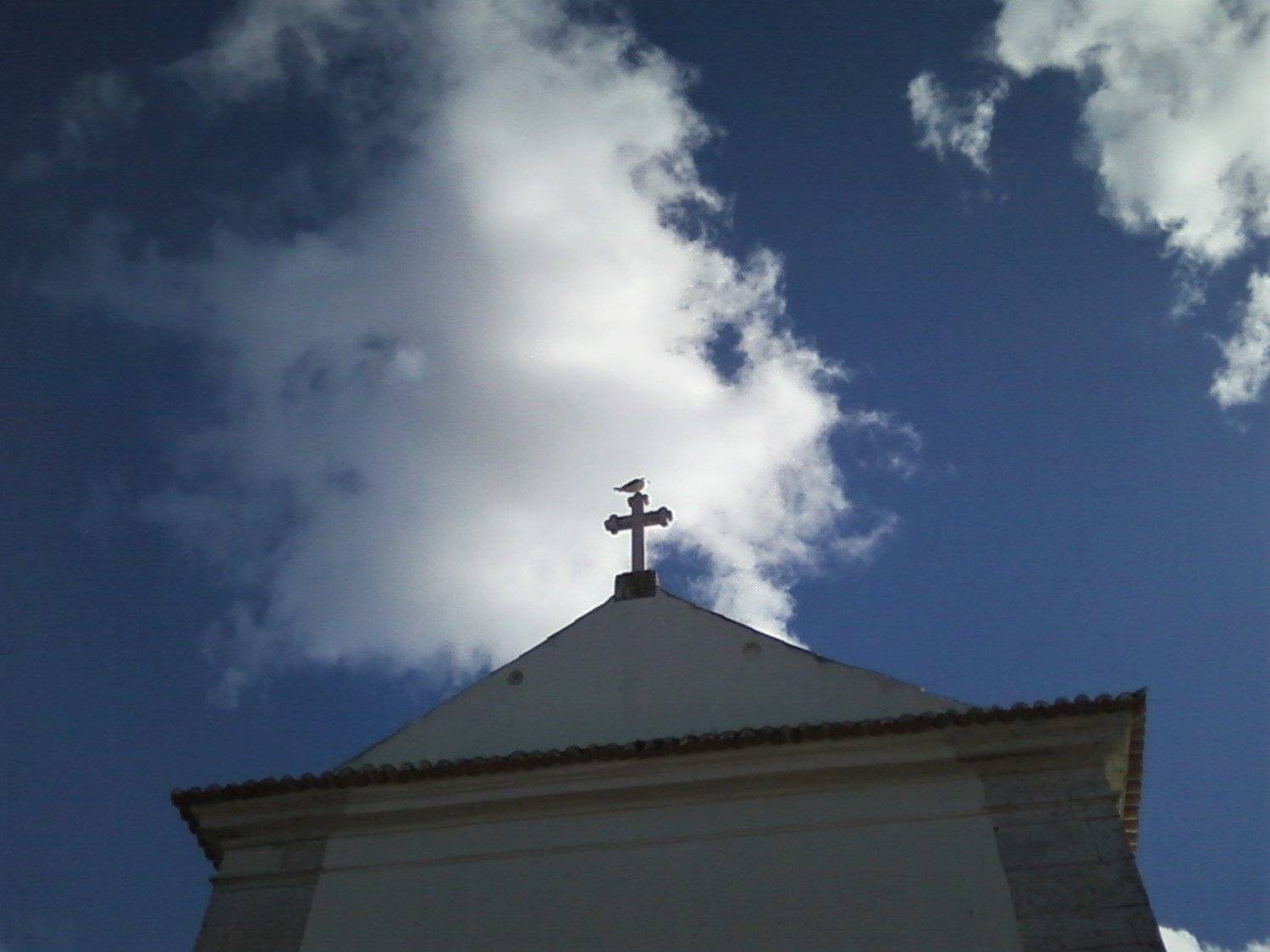 Photo #4523346