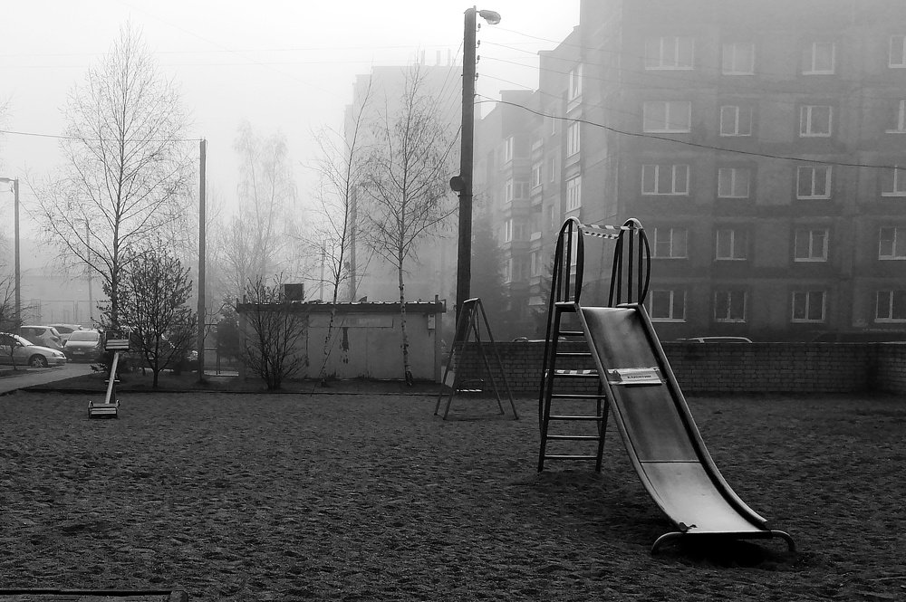 Photo #4523355