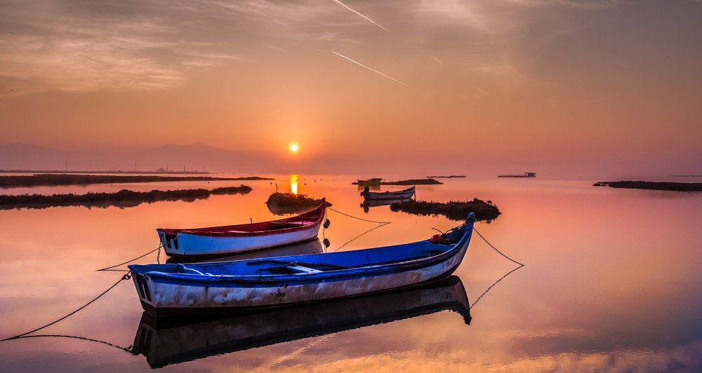 Photograph by 