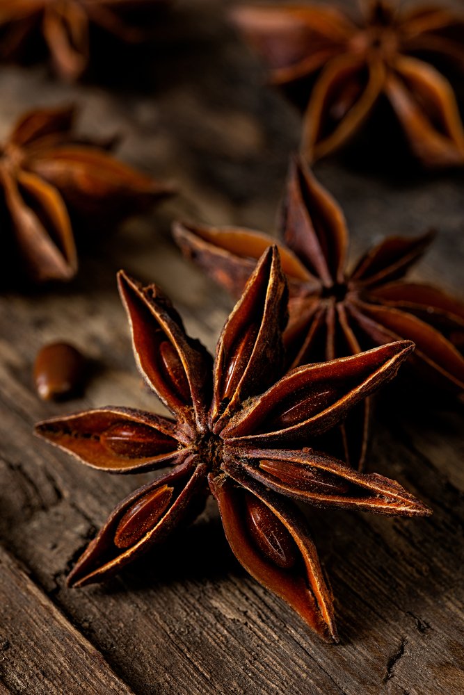 Photograph by Burcu Atalay Tankut