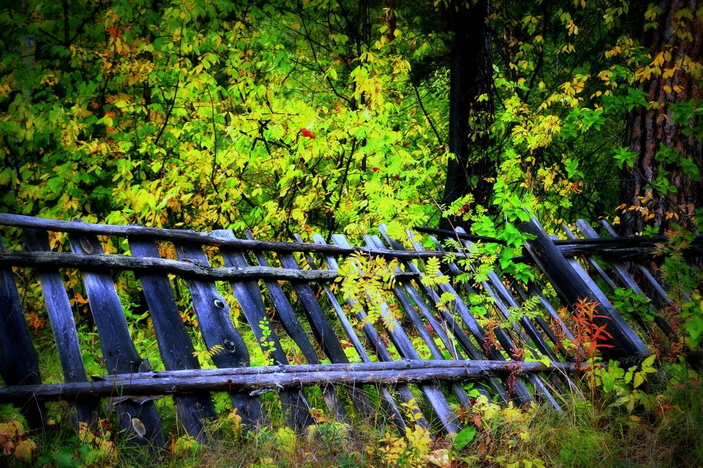 Photograph by Эдуард Петруша