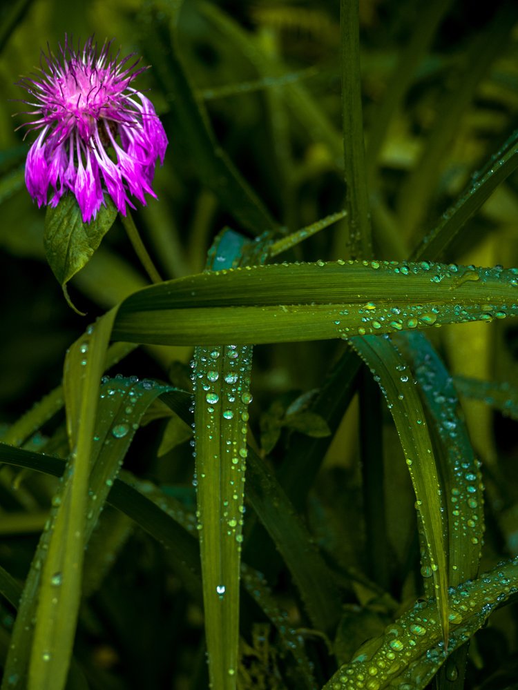 Фотография автора Игорь Игоревич