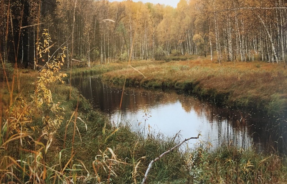 Речка в Югре. Зеркало Осени...!