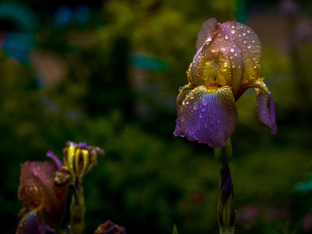 Фотография автора Игорь Игоревич