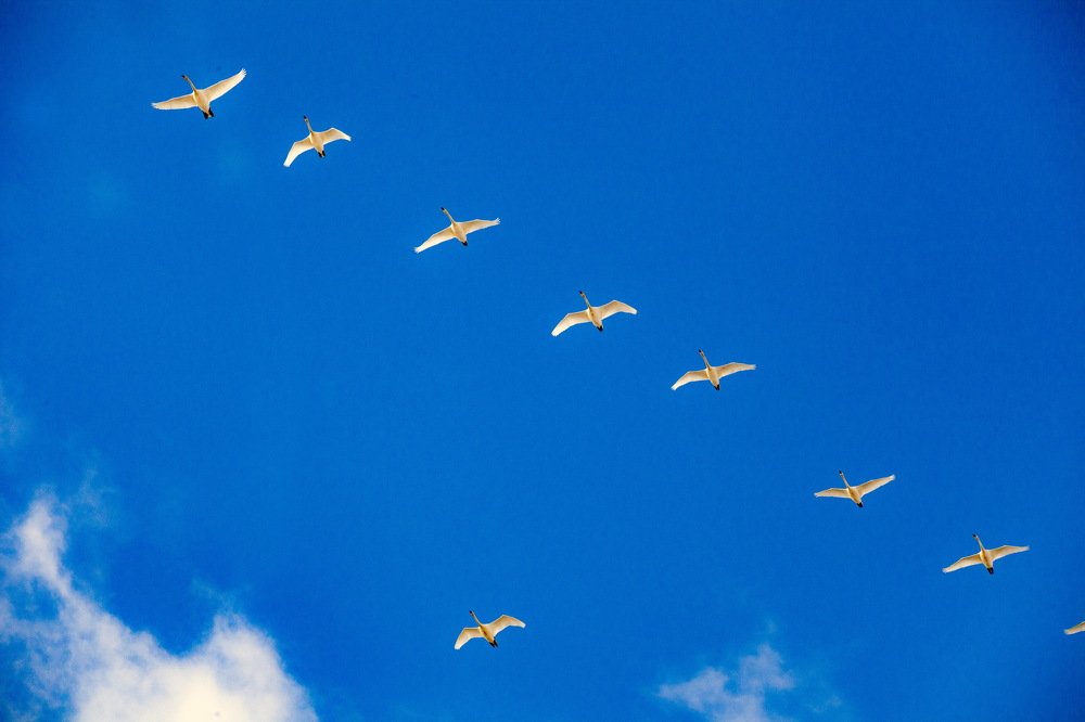 Photograph by петр чиков