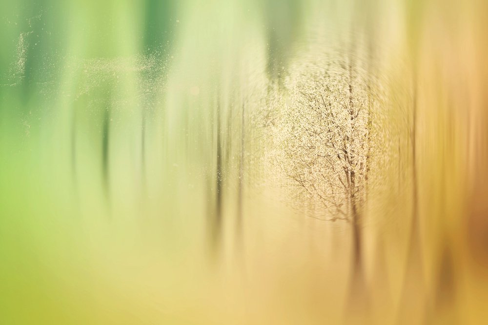 The season of rebirth