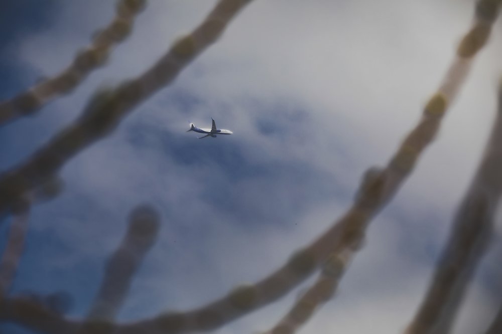 Photograph by Hillel Shatz