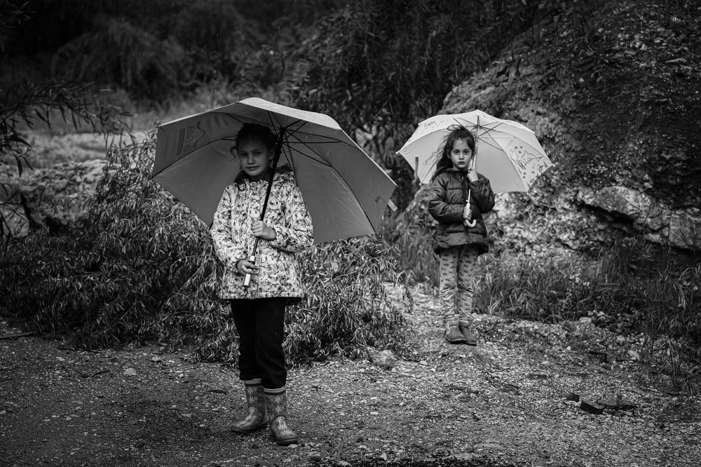 Photograph by Hillel Shatz