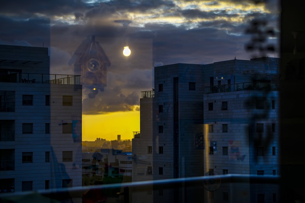 Photograph by Hillel Shatz