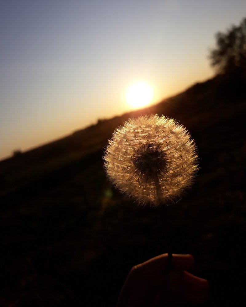 Photograph by Ксения