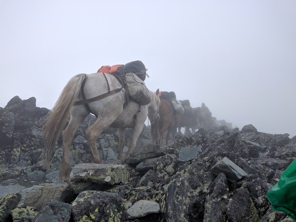 Photograph by Андрей Богданович