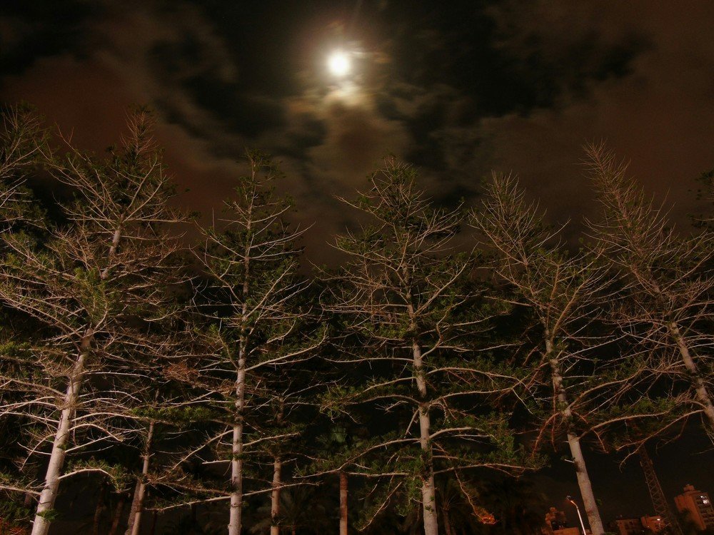 Photograph by ASHRAF FATHY BAKRY